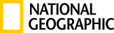 Partner 5